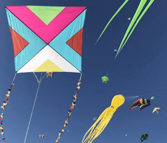 Kites