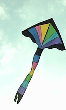 Kite