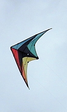 Kite