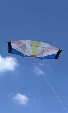 Kite
