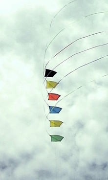 Kite